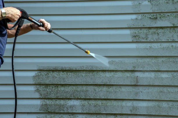 Best Driveway Pressure Washing  in Hesperia, CA